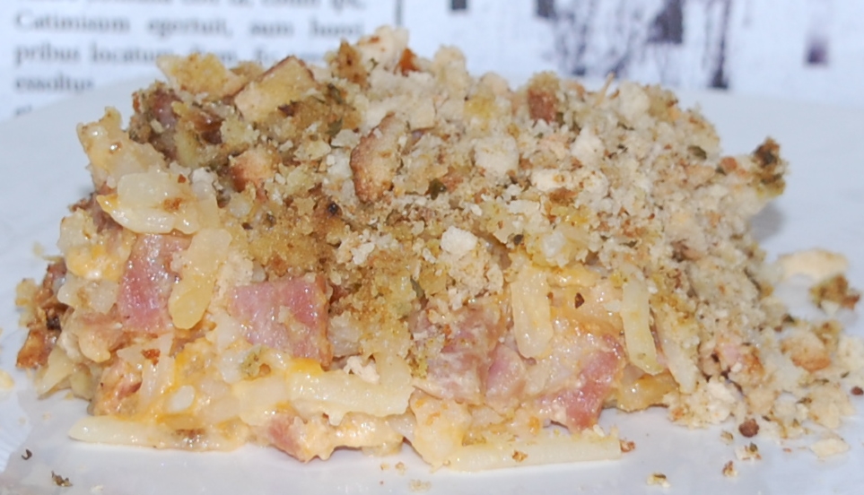 Slow Cooker Ham and Potato Casserole - StolenRecipes.net